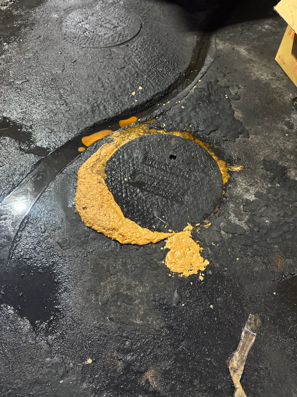 Grease overflowing from an outdoor grease interceptor lid needing pumping